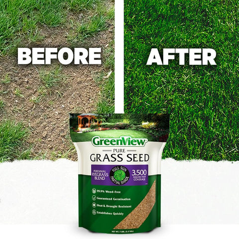 GreenView Pure Grass Seed Perennial Ryegrass Blend, 20 lb. Bag