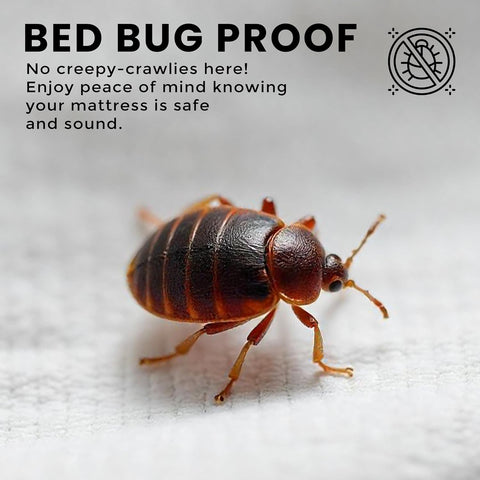 Waterproof Zippered Mattress Protector Full Size, 12" Deep Pocket