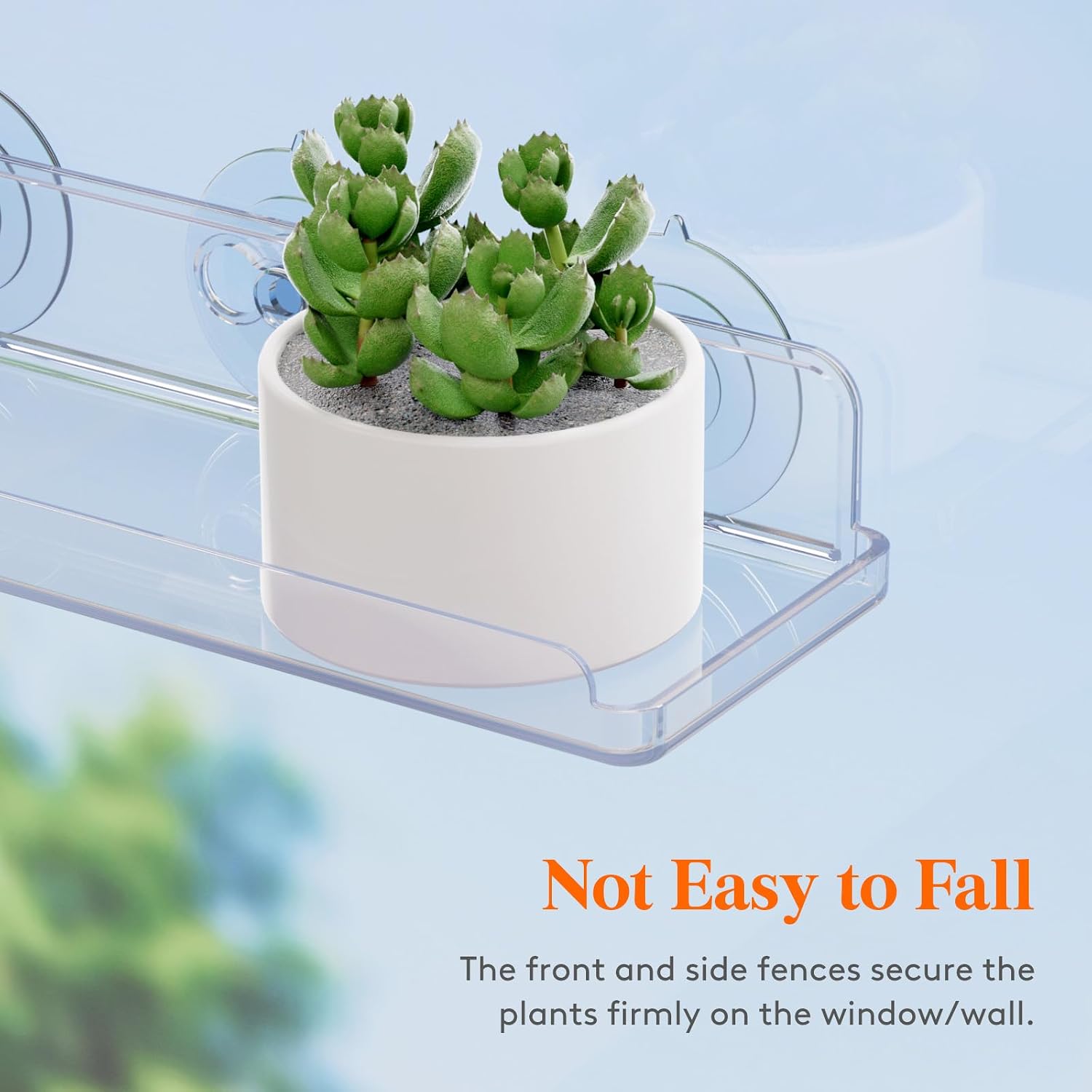 Lifewit Window Plant Shelves 14.6", 2 Pack Acrylic Suction Cup Holder