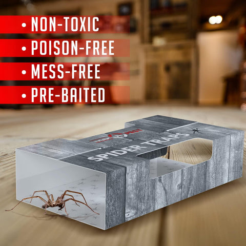 Trap a Pest Indoor Sticky Spider Traps - Glue Traps - 30 Pack