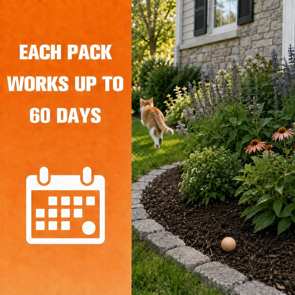 Cat Repellent Outdoor/Indoor, Cat Deterrent Outdoor, Keep Cats Away, Cat Repellent for Yard, Outdoor Cat Repellent, Cat Deterrent Indoor, Safe Around People, Pets & Plants- 12 Packs