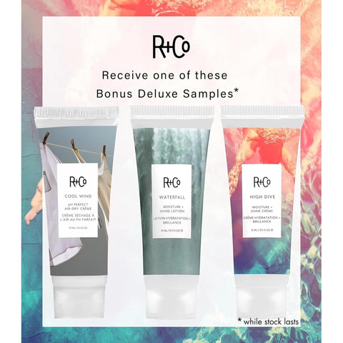 R+Co Television Perfect Hair Shampoo and Conditioner Set, 8.5oz (2 Pack)