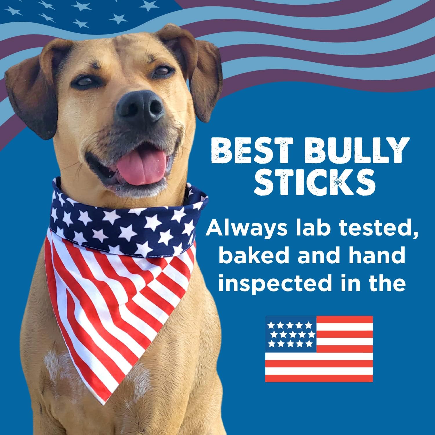 Best Bully Sticks Thick Bully Sticks Dog Chews, 6", 5 Count