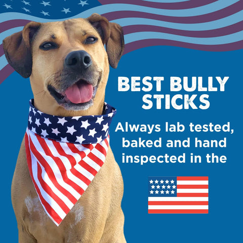 Best Bully Sticks Thick Bully Sticks Dog Chews, 6", 5 Count