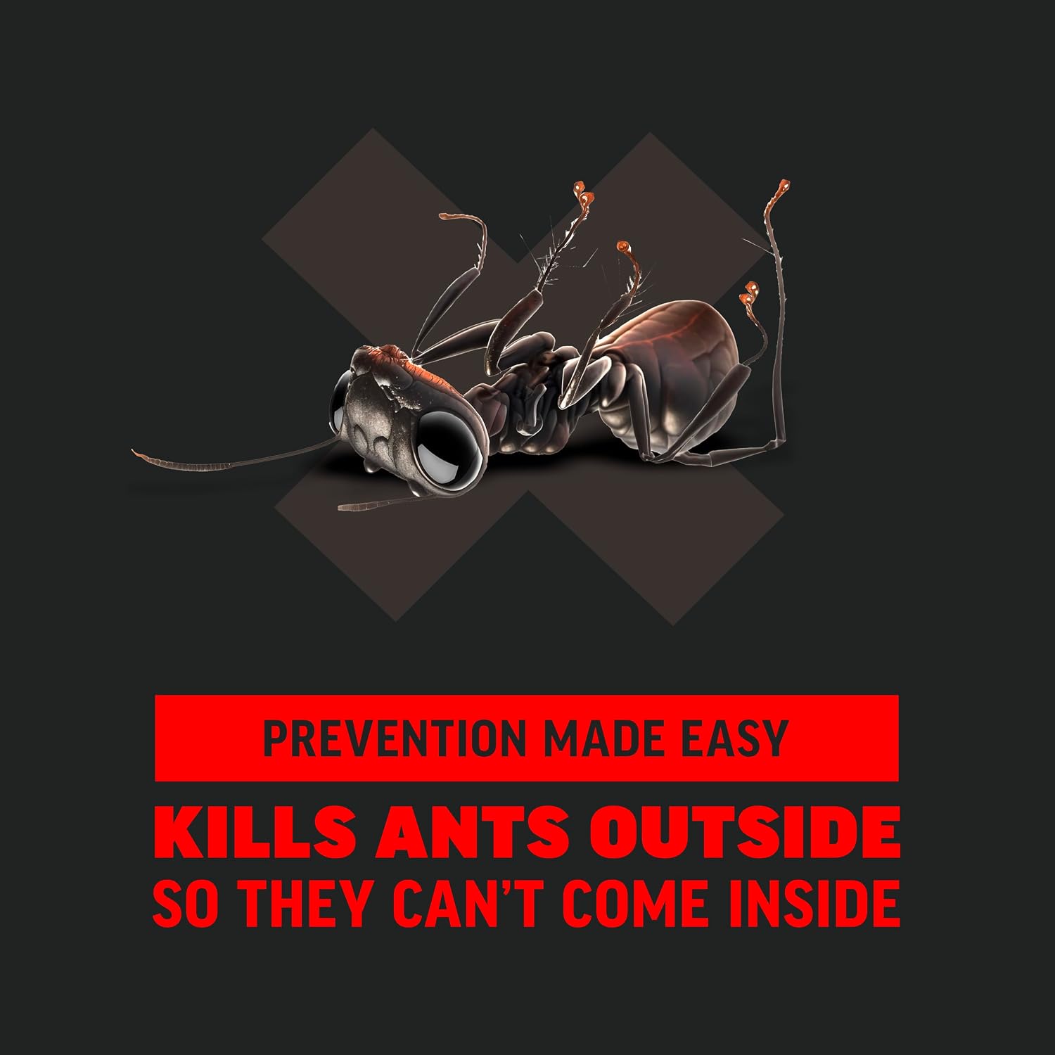 Amdro Ant Killer for Outdoor Home Perimeter, 24 Oz