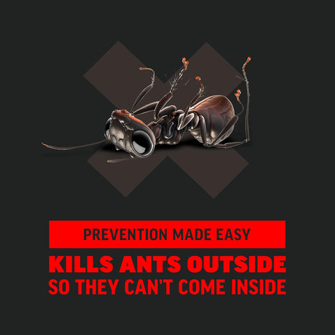 Amdro Ant Killer for Outdoor Home Perimeter, 24 Oz