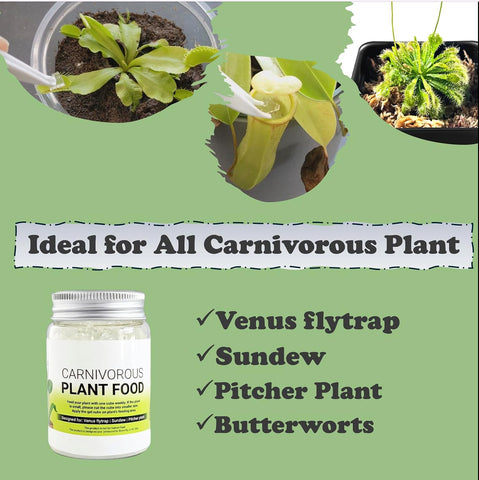 Venus Flytrap Food, Solid Gel Carnivorous Plant Food, 2.5OZ. Designed for Venus Fly Trap, Sundew, Pitcher Plants and Other Carnivorous Plants