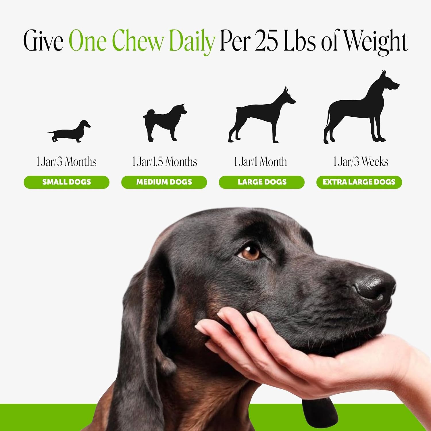 Pet Honesty Dog Probiotics Chews for Gut & Digestive Health, 90ct, Pumpkin