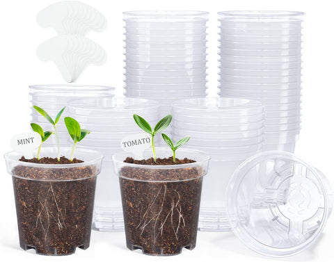 homenote 3 Inch Clear Nursery Pots with Drainage Holes, 20 Labels (60 Pcs)