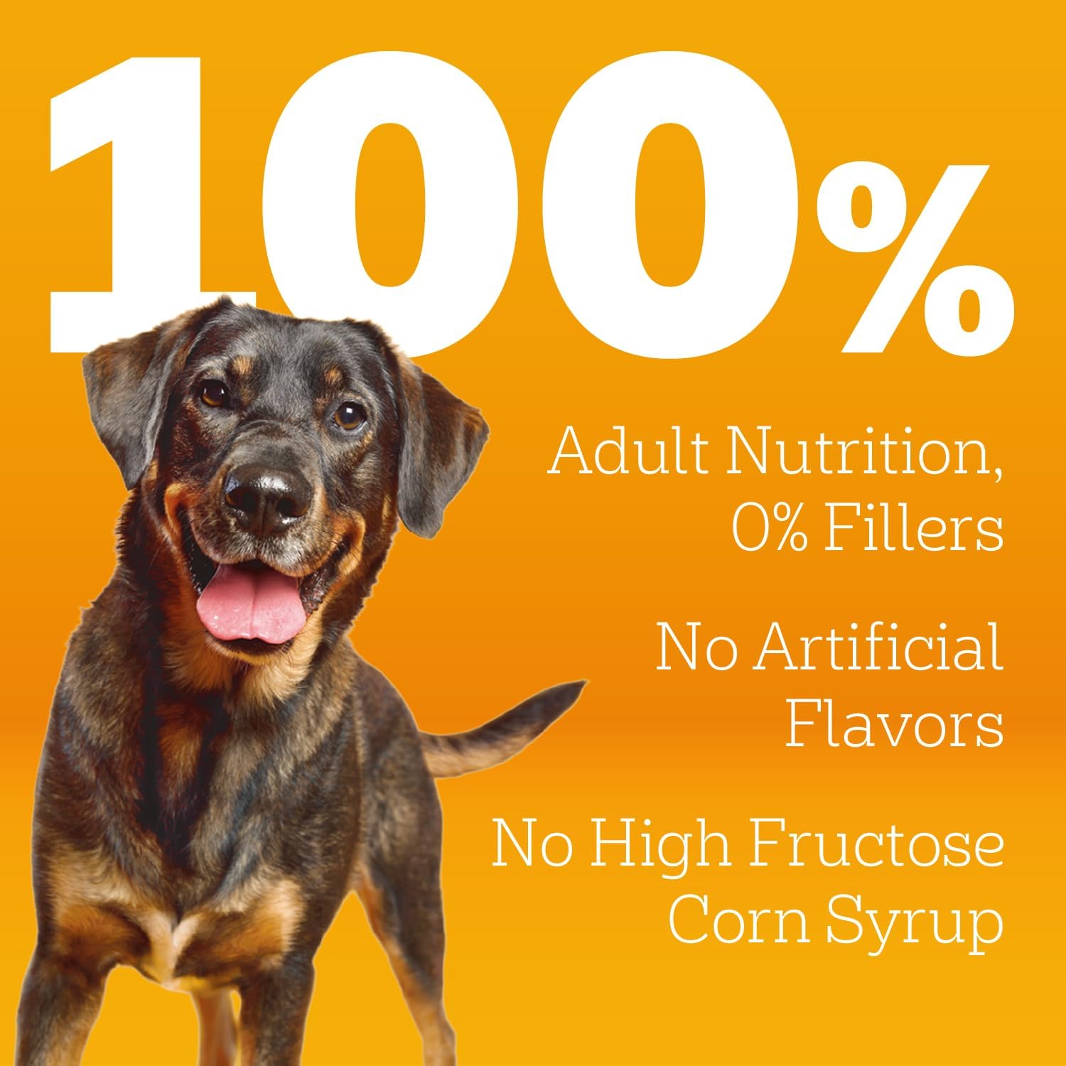 Pedigree Complete Nutrition Dry Dog Food, Steak & Vegetable, 18 lb