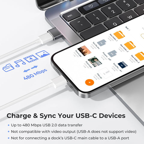 Basesailor USB to USB C Adapter,USBC Female to USB A Male Charger Adapter