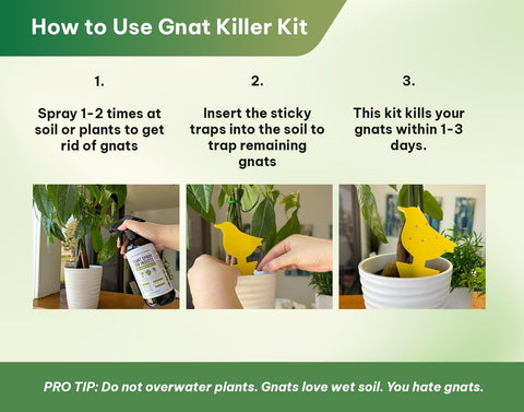 Kate's Home & Garden Plant Spray for Insects & Gnats, 12 Sticky Traps, 16oz