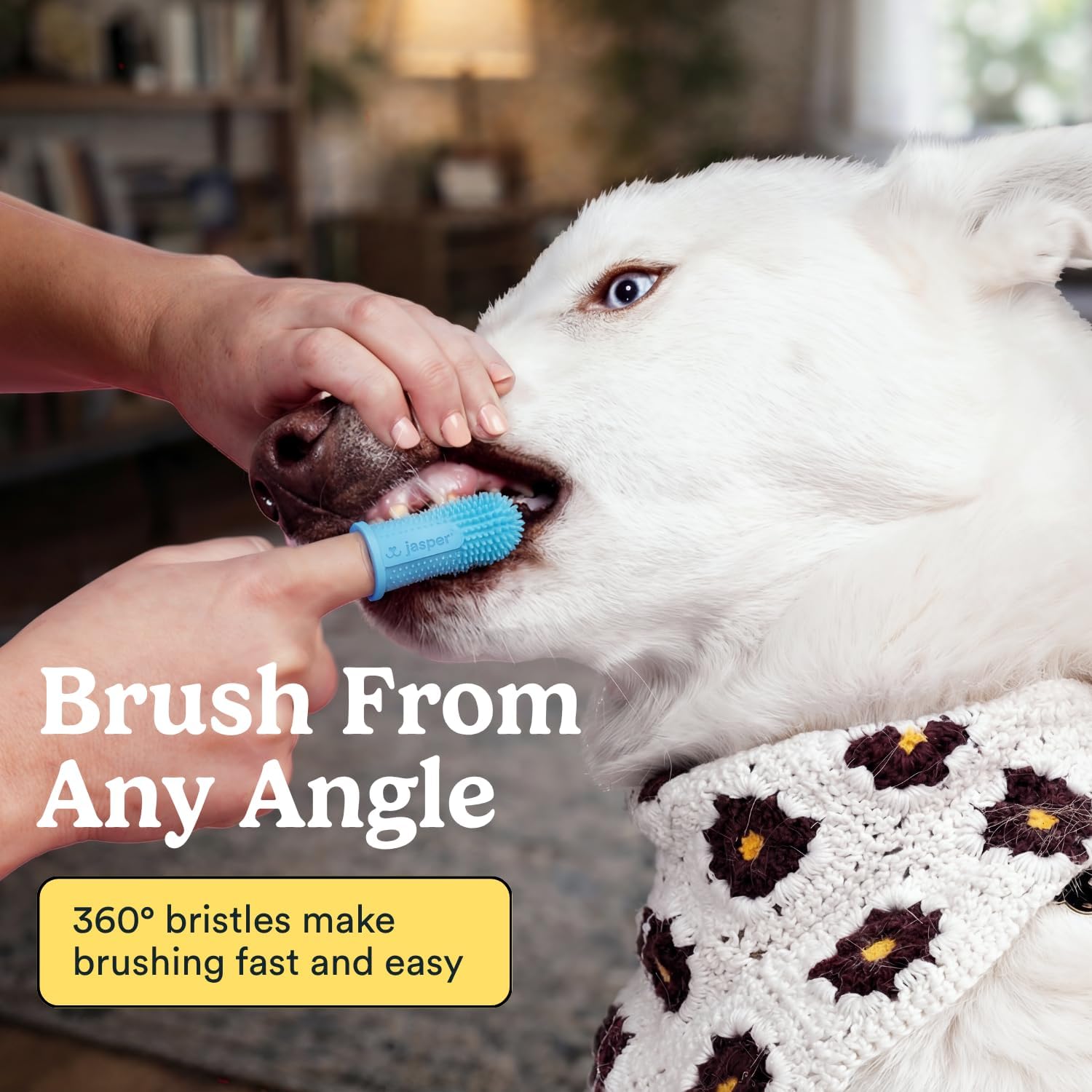 Jasper Dog Toothbrush, 360° Finger Toothbrush for Dogs & Cats, Blue 2-Pack
