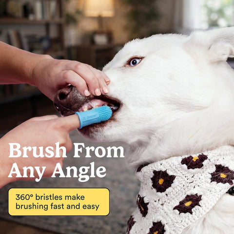 Jasper Dog Toothbrush, 360° Finger Toothbrush for Dogs & Cats, Blue 2-Pack
