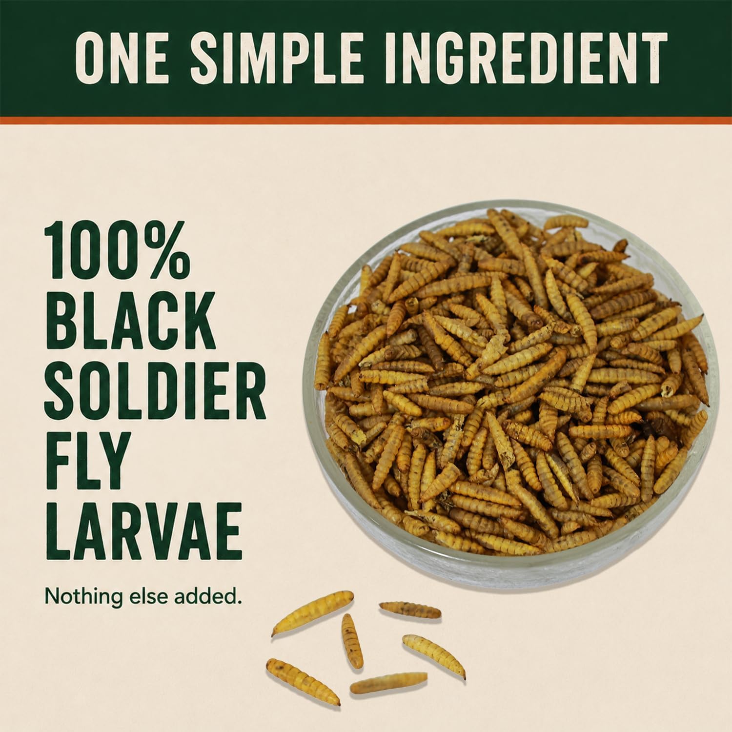 Classic Flock 11 LB Dried Black Soldier Fly Larvae for Chickens, Bulk