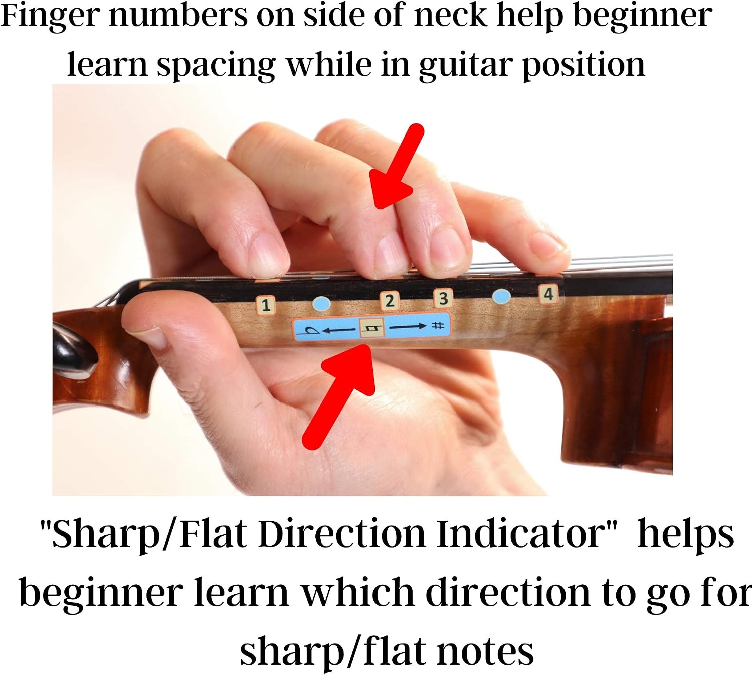 Fantastic Finger Guide for Violins Adult Beginner | Stringed Musical Instruments | Fingerboard and Fretboard Stickers for Learning All Notes | Play or Fiddle (3/4)