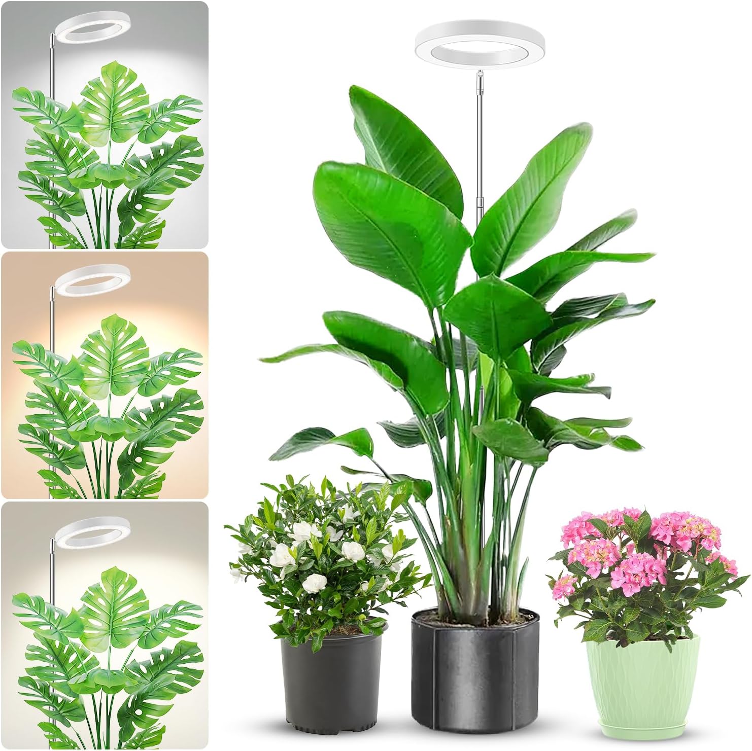 Aokrean Halo Plant Grow Light for Indoor Plants, 6.3in Full Spectrum White