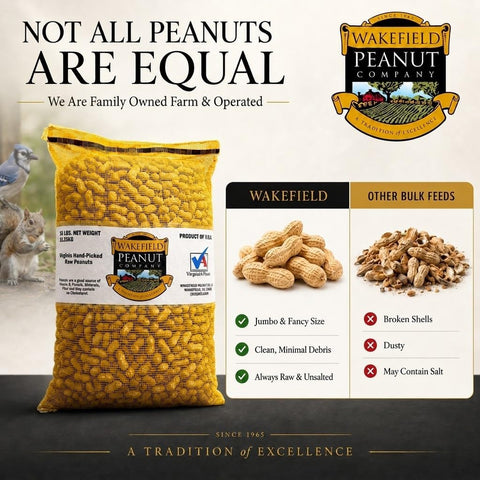 Wakefield Premium Virginia Peanuts in-Shell for Squirrels, Blue Jays & Wildlife - 6 LB Bag - Hand-Picked, Raw, Unsalted, High Protein Wild Bird & Animal Feed
