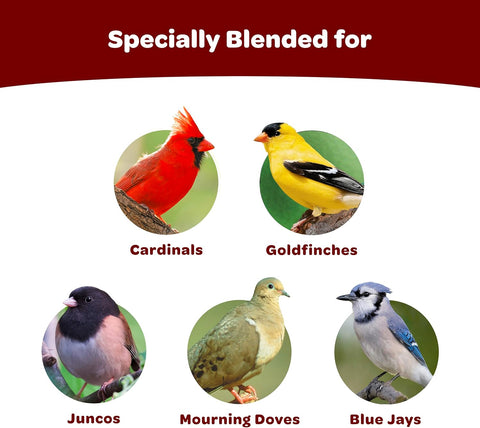 Kaytee Cardinal Seed Cake, Wild Bird Food, 1.85 Pounds