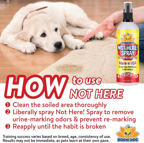 Bodhi Dog Not Here Spray - Trains Pets Where Not To Pee - Dog & Puppy Potty Training Spray to Stop Marking & Urinating Indoors or Outdoors - Safe for Furniture, Carpet & Floors - Made in USA (8 Fl Oz)