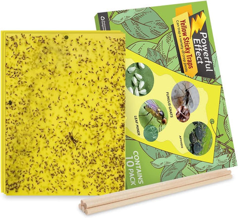 Kensizer 10-Pack Fruit Fly Trap, Yellow Sticky Gnat Trap, 6x8 in