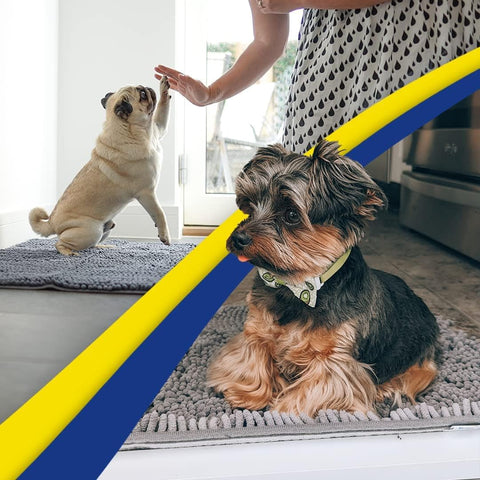 Muddy Mat® | Super Water Absorbent Door Mat Indoor, Microfiber Quick Dry Chenille Entryway Rug, Slip Resistant Front Door Mat, Indoor Mats for Entryway, Machine Washable Pet Rug, Grey 24"x36"