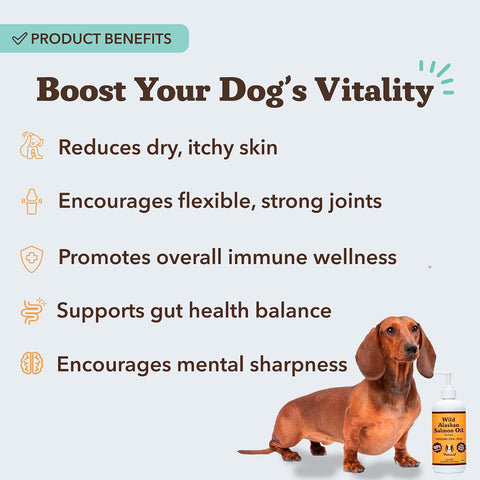Natural Dog Company Wild Alaskan Salmon Oil for Dogs - Omega 3 Fish Oil Supplement with EPA & DHA for Skin, Coat, Itch Relief, Joints, Heart & Immune Support, Liquid Food Topper, 16 oz
