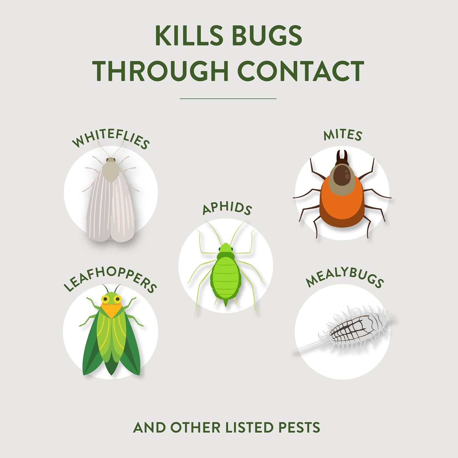 Garden Safe Insecticidal Soap Insect Killer Spray, 32 Oz