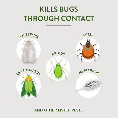 Garden Safe Insecticidal Soap Insect Killer Spray, 32 Oz