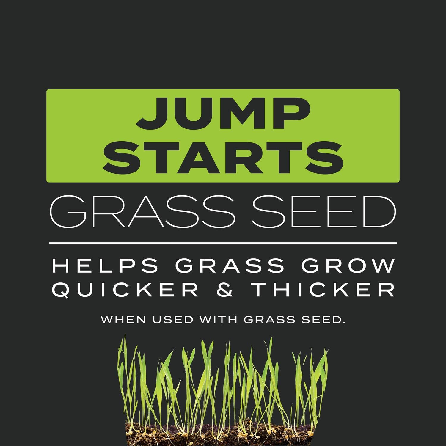 Scotts Turf Builder Triple Action Built for Seeding, 4.3 lbs.