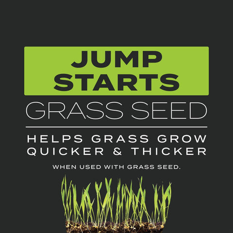 Scotts Turf Builder Triple Action Built for Seeding, 4.3 lbs.