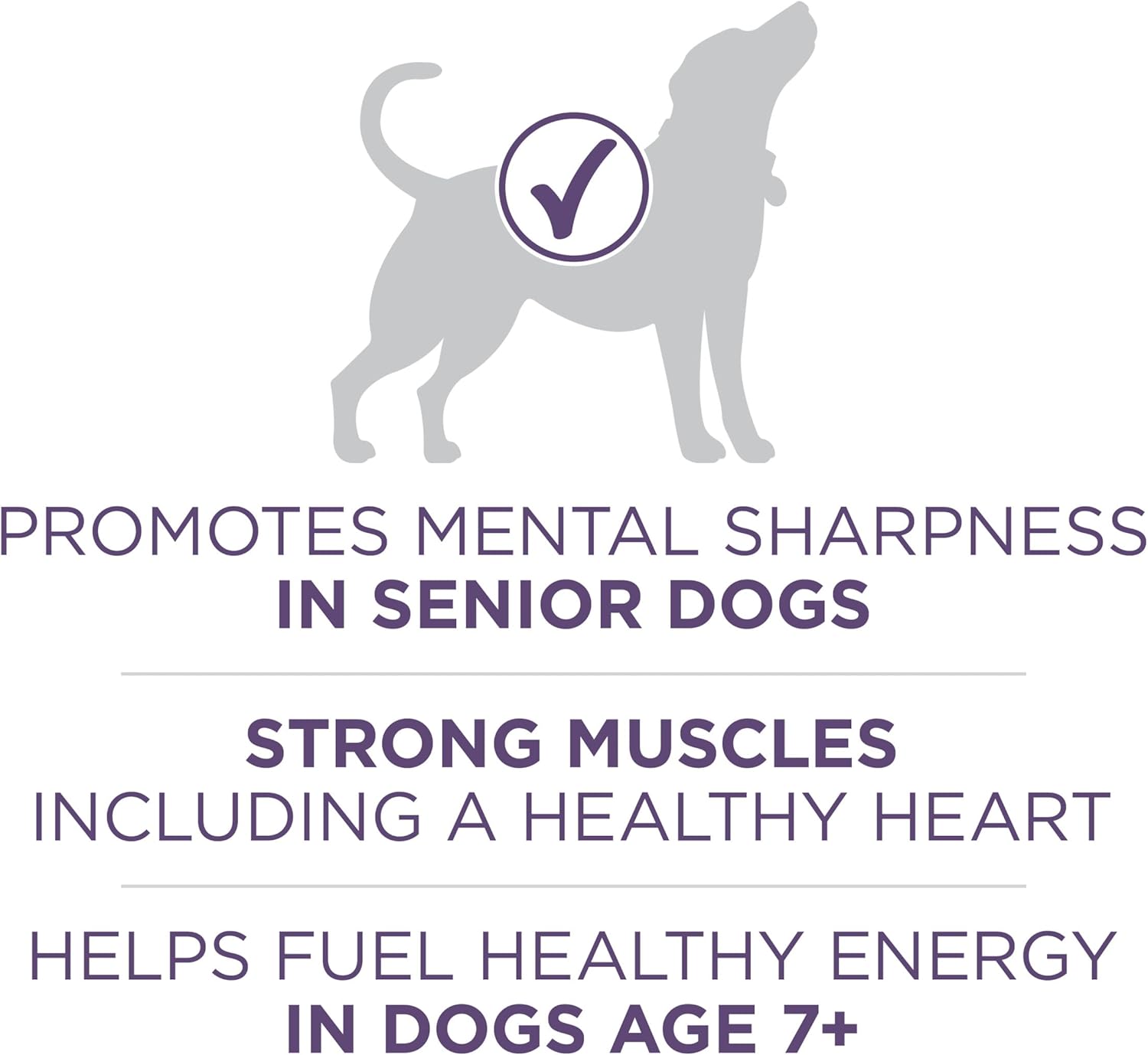 Purina ONE High Protein Dry Senior Dog Food Plus Vibrant Maturity Adult 7 Plus Formula - 4 Pound (Pack of 4)