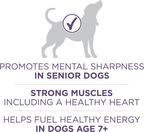 Purina ONE High Protein Dry Senior Dog Food Plus Vibrant Maturity Adult 7 Plus Formula - 4 Pound (Pack of 4)