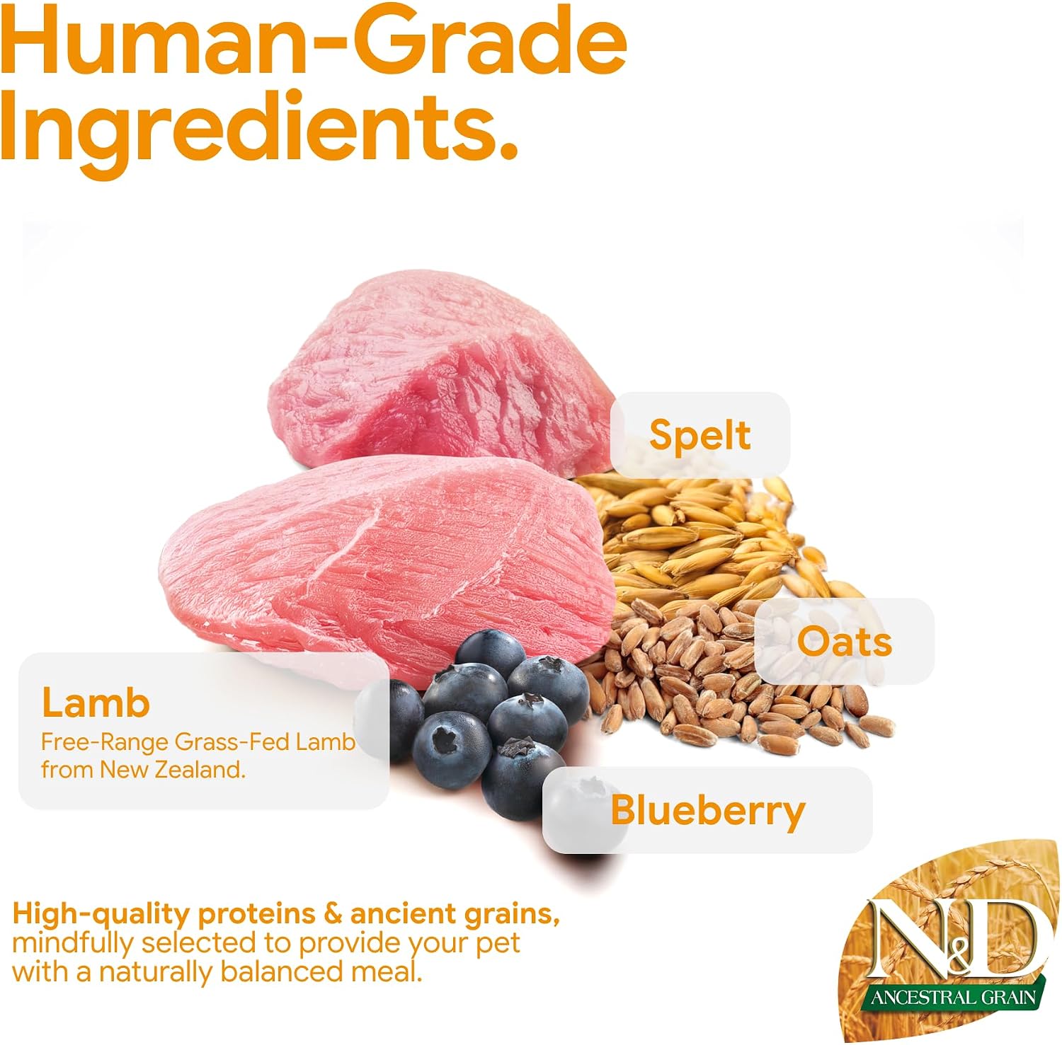 Farmina Natural & Delicious Ancestral Low Grain Lamb & Blueberry Adult Mini Dog 15.4#