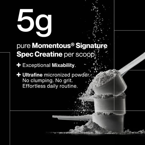 Momentous Creatine Monohydrate Powder, 5g per Serving, Unflavored