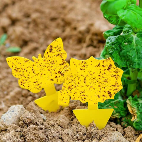 58 Pack Yellow Sticky Gnat Traps for Plants - Fungus Gnat Killer, Fruit Fly Traps for Indoors, Gnat Sticky Traps for Plants, Family Friendly Design, Sunflower + Butterfly Shapes