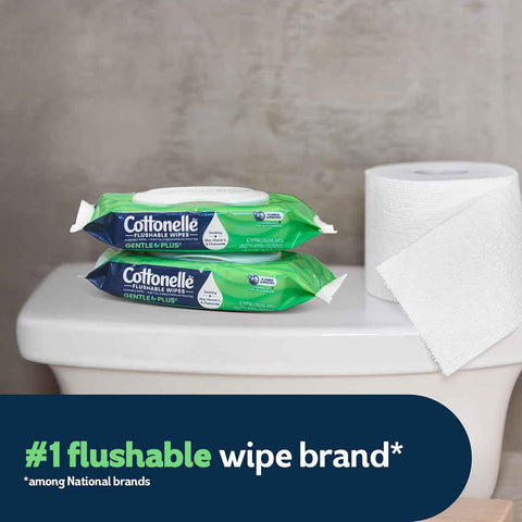 Cottonelle GentlePlus Flushable Wipes, 4 Packs, 42 Wipes per Pack