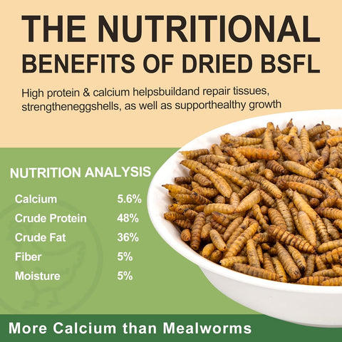 5LB Dried Black Soldier Fly Larvae for Chickens Treats Bulk, Non GMO BSF Larvae 85X More Calcium Than Dried Mealworms for Laying Hens, Chicken Worms for Wild Birds