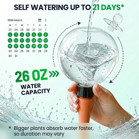 2 Pack 26 oz Extra Large Plant Self Watering Globes to 3 Weeks Watering