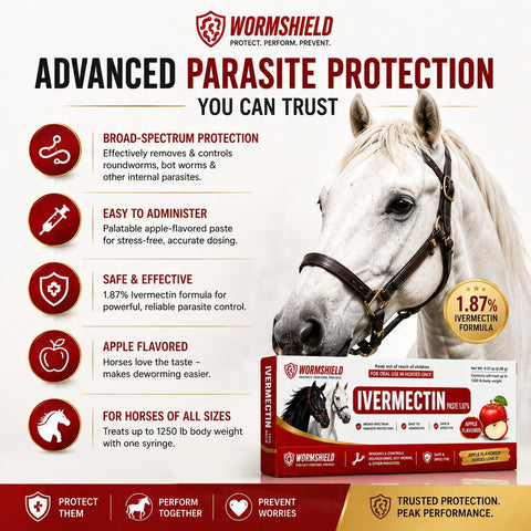 Horse Paste Ivermectin 1.87% | Apple Flavored – 6.08g Syringe for Equine Use Only Up to 1250 LB