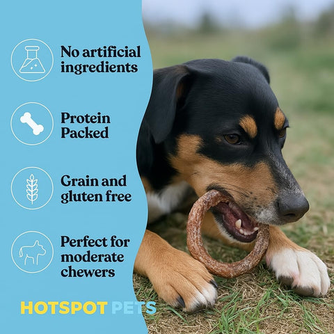 hotspot pets Bully Stick Rings for Dogs - (20 Pack) 4" Premium All Natural Long Lasting Twisted Beef Pizzle Dog Chew Treats, Low Odor - Grain Free Fully Digestible Rawhide Alternative - Thick Circles