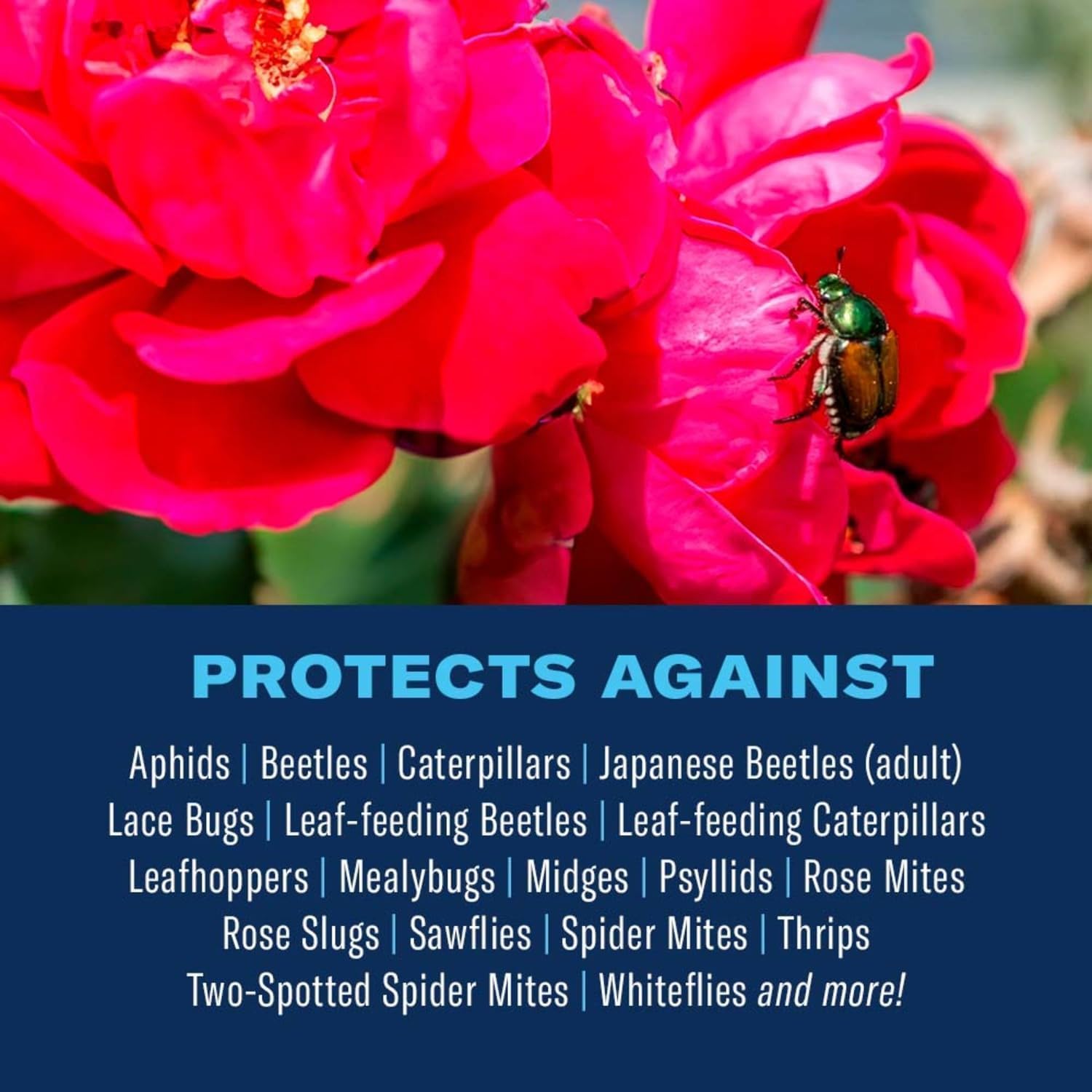 BioAdvanced 3-in-1 Insect, Disease, and Plant Mite Control Spray - 24 fl oz
