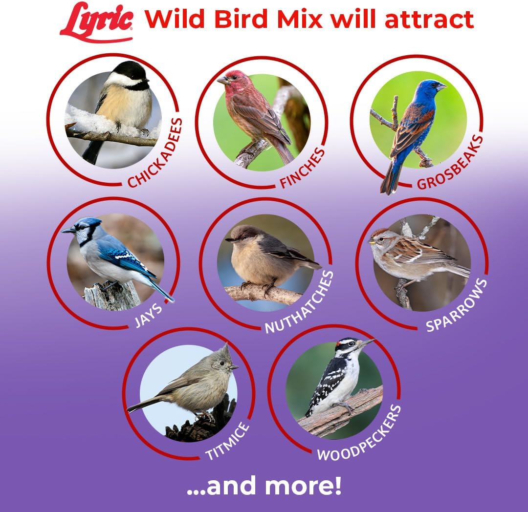 Lyric Wild Bird Mix - Includes Corn, Nuts, and Wild Bird Seed for Outside Feeders, Attracts Doves, Jays and Many More, 40 lb Bag