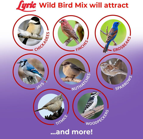 Lyric Wild Bird Mix - Includes Corn, Nuts, and Wild Bird Seed for Outside Feeders, Attracts Doves, Jays and Many More, 40 lb Bag