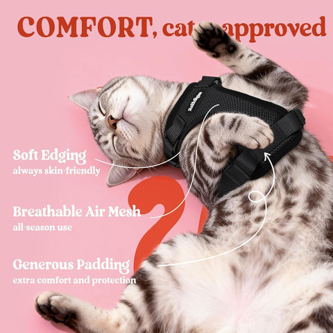 rabbitgoo Cat Harness and Leash Set, Escape Proof Vest, Black