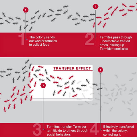 BASF Termidor Foam 20 oz - Termiticide Insecticide for Termites, Ants & Wood Destroying Pests & Insects