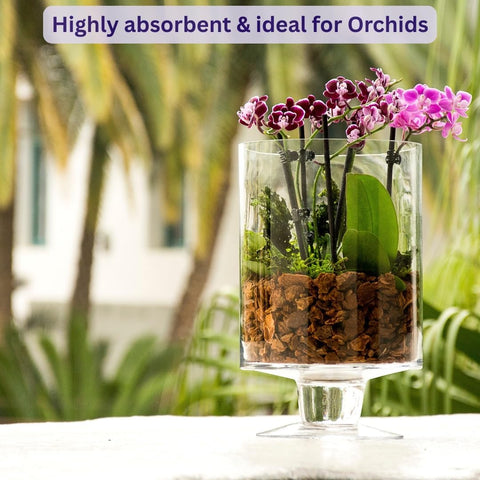 SuperMoss (23120) Orchid Potting Bark, Natural Brown, 1560 cu In. (Package May Vary)