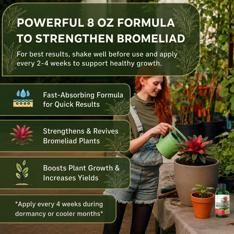 Professional Bromeliad Fertilizer Liquid 3-1-2 Concentrate 8 oz, Premium Bromeliad Plant Food for Indoor and Outdoor Plants, Liquid Bromeliad Plant Fertilizer Made in USA