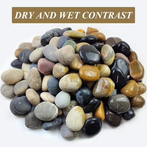 FANTIAN 10 lbs River Rocks, 2-3 Inch Natural Pebbles for Plants