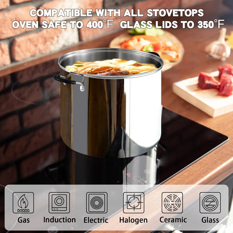 Cook N Home Professional 20 Quart Stainless Steel Stock Pot with Lid